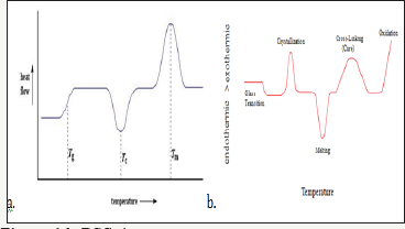 Click here to view Large Figure 14