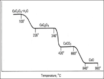 Click here to view Large Figure 3