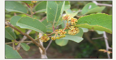 Click here to view Large image 1