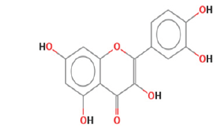 Click here to view Large Figure 1
