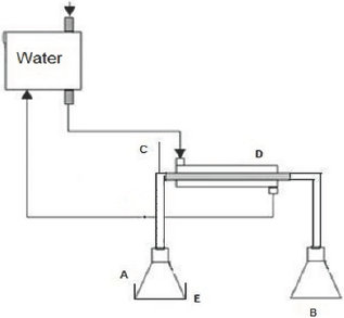 Click here to view Large Figure 2