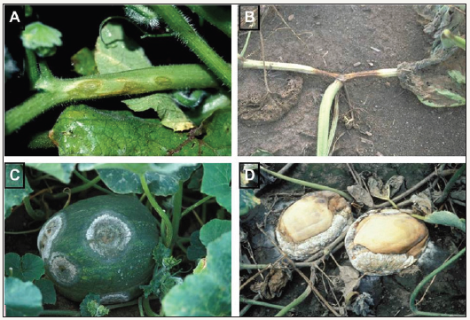 Click here to view Large image 1