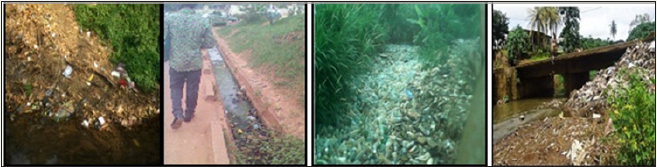 Click here to view Large image 12