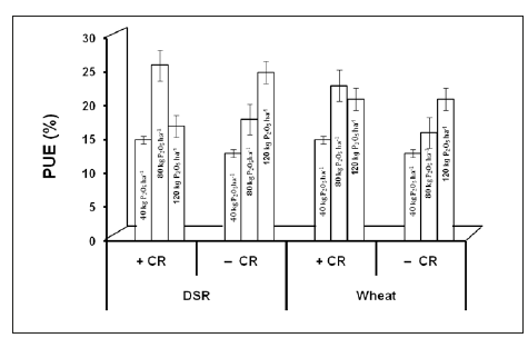 Click here to view Large image 1