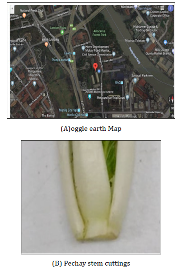 Click here to view Large image 2