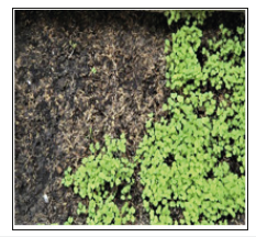 Click here to view Large image 3