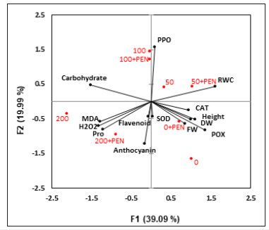 Click here to view Large image 4