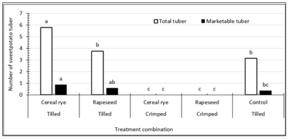 Click here to view Large image 3