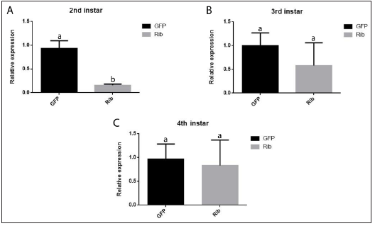 Click here to view Large image 2