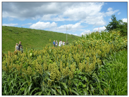 Click here to view Large image 4