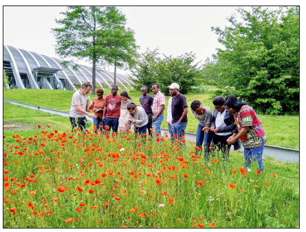 Click here to view Large image 5