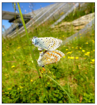 Click here to view Large image 8