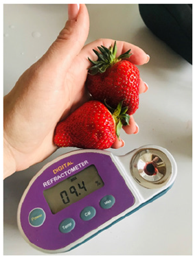 Click here to view Large image 1