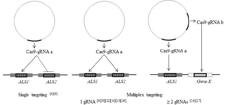 Click here to view Large image 2
