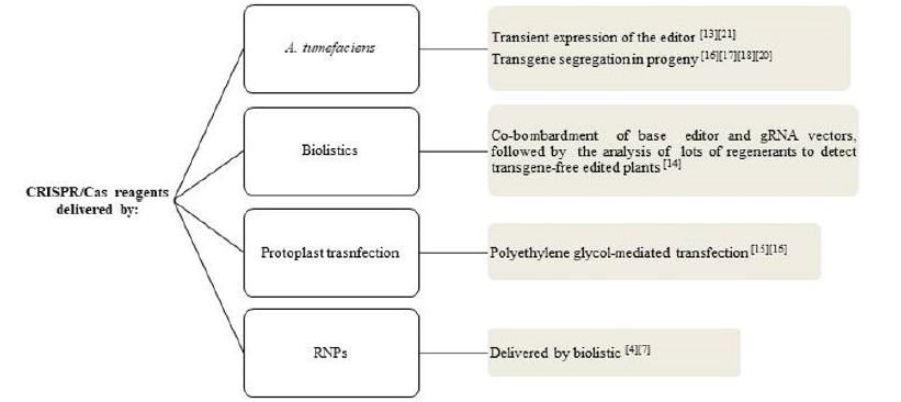 Click here to view Large image 3