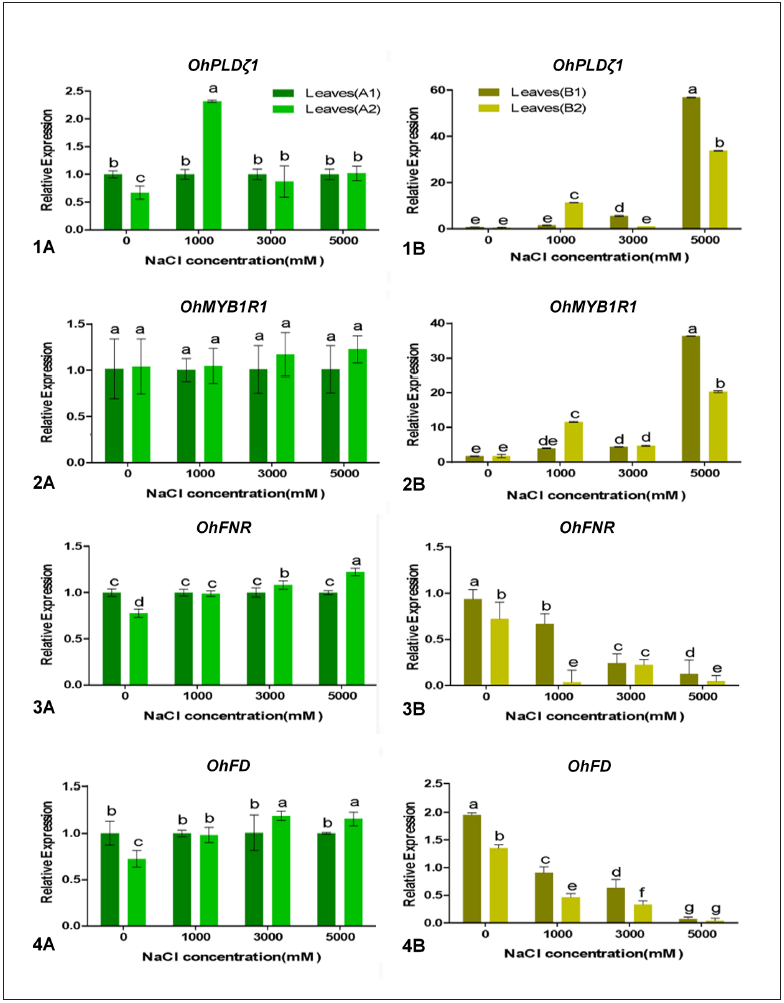Click here to view Large image 3