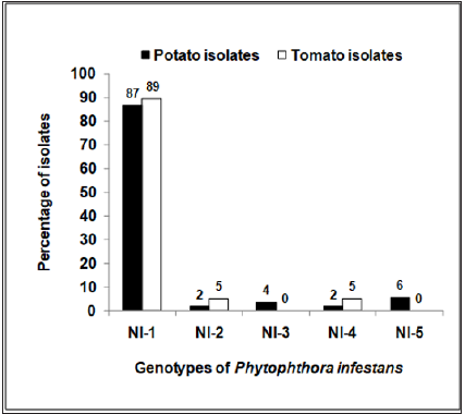 Click here to view Large image 1