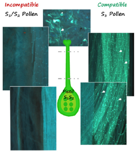 Click here to view Large image 1