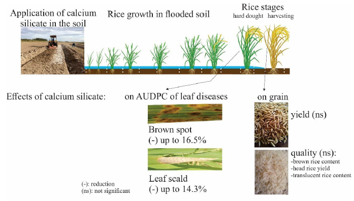 Click here to view Large image 3