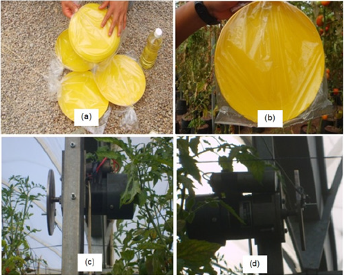 Click here to view Large image 1