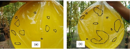 Click here to view Large image 3