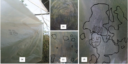 Click here to view Large image 4