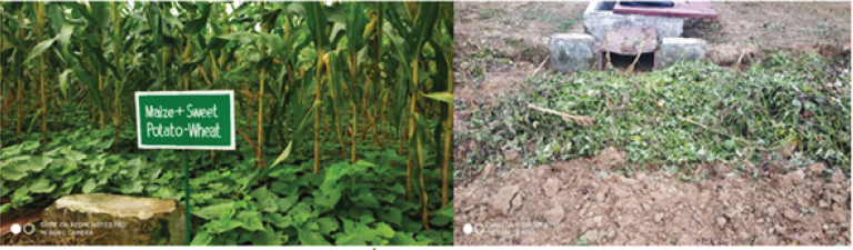 Click here to view Large image 2