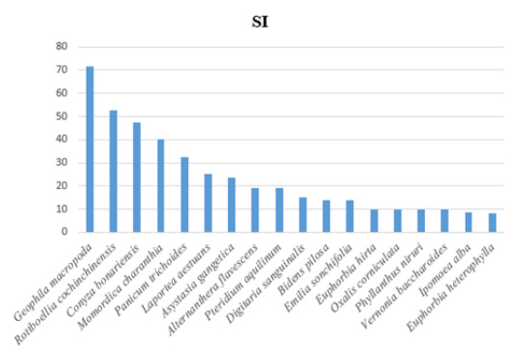 Click here to view Large image 1