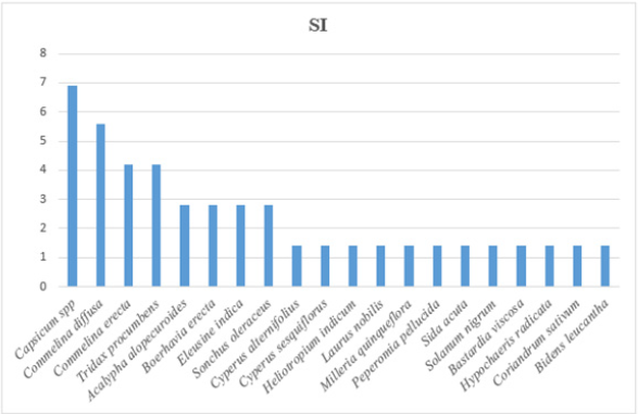 Click here to view Large image 2