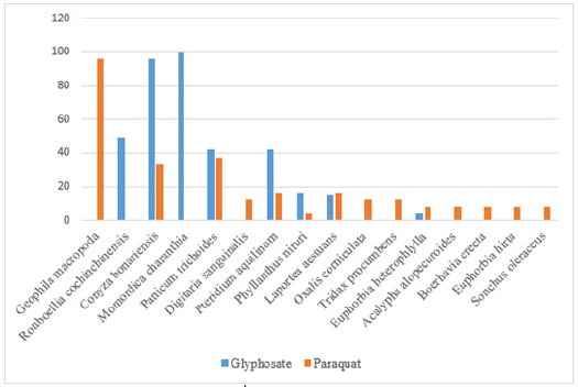 Click here to view Large image 5