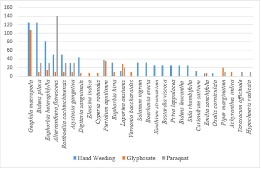 Click here to view Large image 6