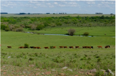 Click here to view Large image 1