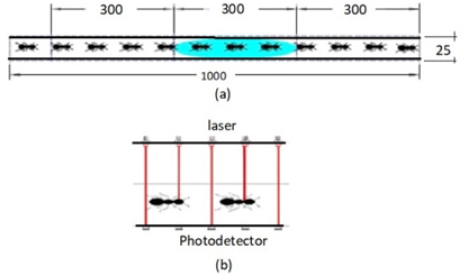 Click here to view Large image 1