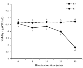 Click here to view Large image 1