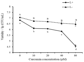Click here to view Large image 2