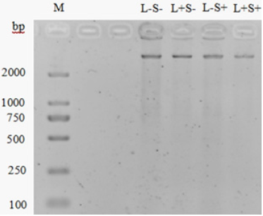 Click here to view Large image 3