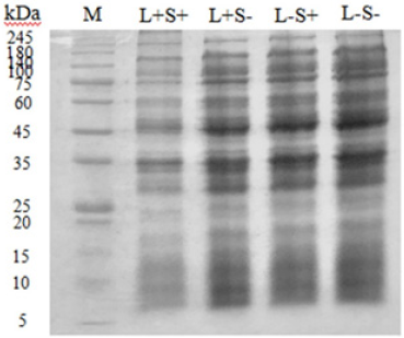 Click here to view Large image 4