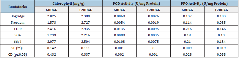 Click here to view Large table 3