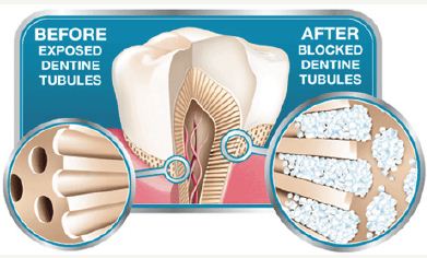 Click here to view Large Figure 1
