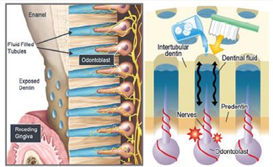 Click here to view Large Figure 2