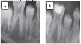 Click here to view Large Figure 3