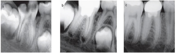 Click here to view Large Figure 5