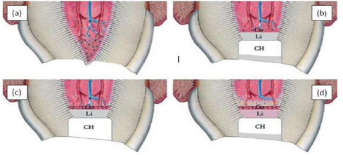 Click here to view Large Figure 2