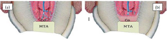 Click here to view Large Figure 2