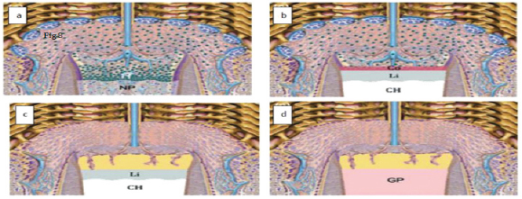 Click here to view Large Figure 2