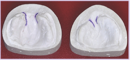 Click here to view Large Figure 8