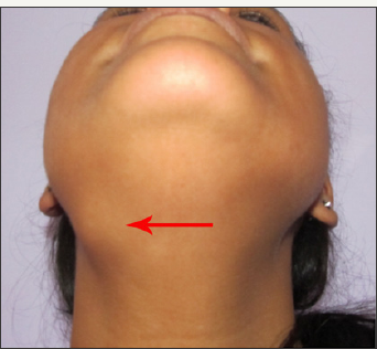 Click here to view Large Figure 8