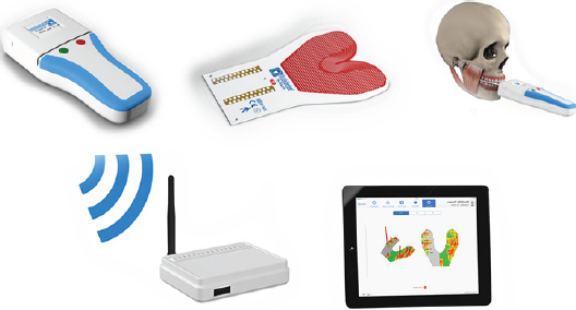 Click here to view Large Figure 1