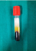 Click here to view Large Figure 3