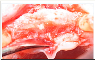 Click here to view Large image 3